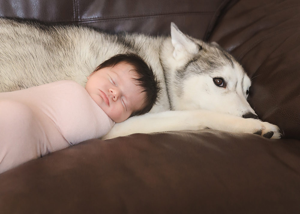 Edmonton Area Newborn Photographer_Baby Reagan Sneak Peek 11.jpg