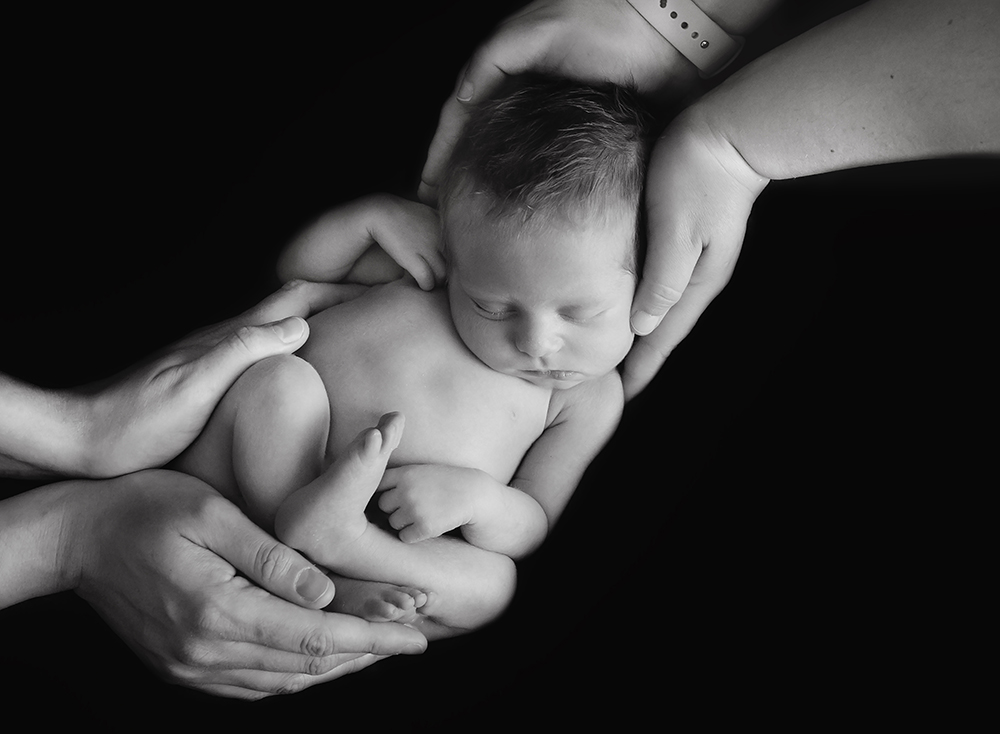 Edmonton LGBQT Newborn Photographer 1.jpg