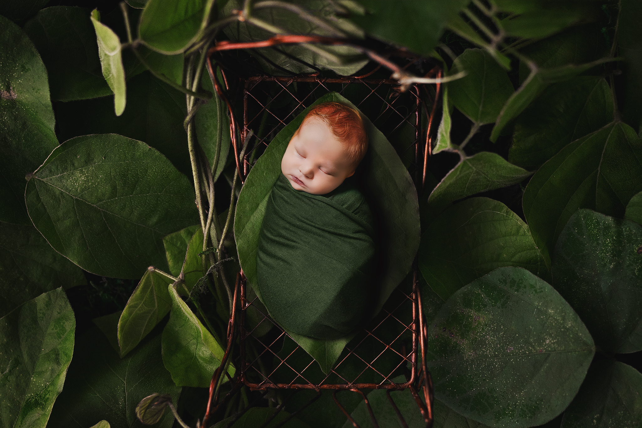 Edmonton Newborn Photographer_Baby Donovan 15.jpg